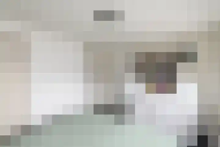 Oranje Nassaulaan 15 Wolvega thumbnail 19