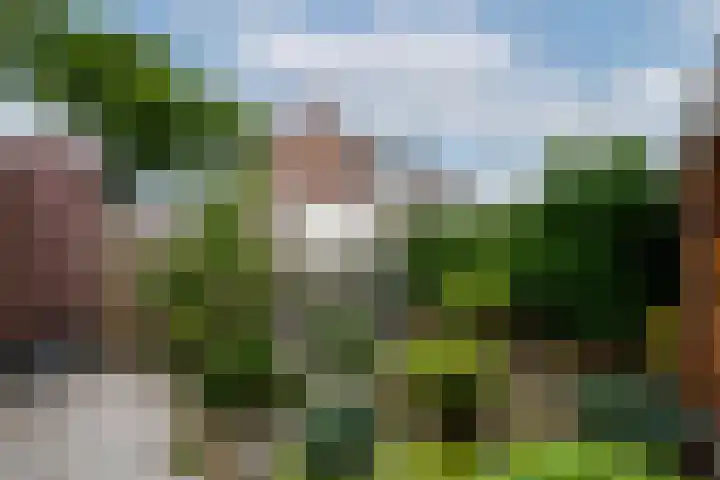 Oranje Nassaulaan 15 Wolvega thumbnail 31
