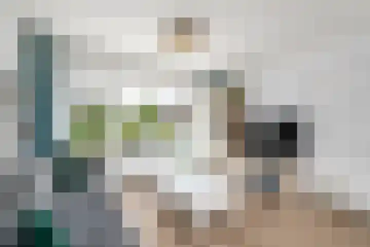 Oranje Nassaulaan 15 Wolvega thumbnail 7