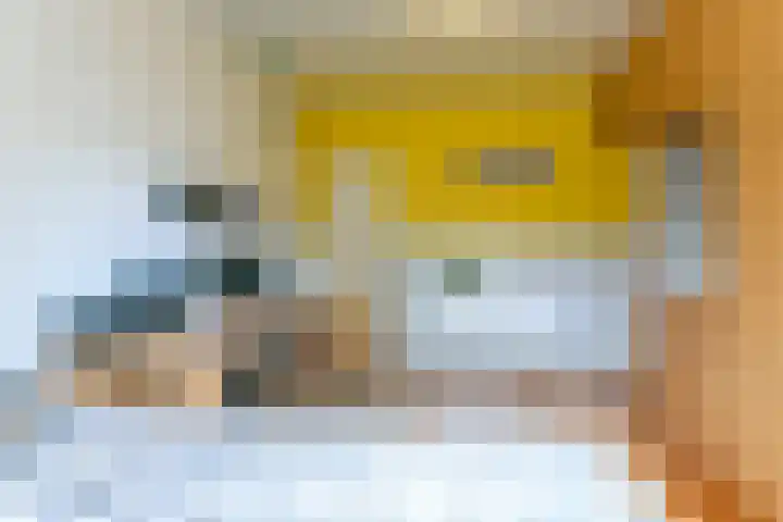 Oranje Nassaulaan 159 Overveen thumbnail 16