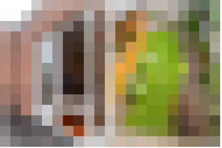 Oranje Nassaulaan 159 Overveen thumbnail 18