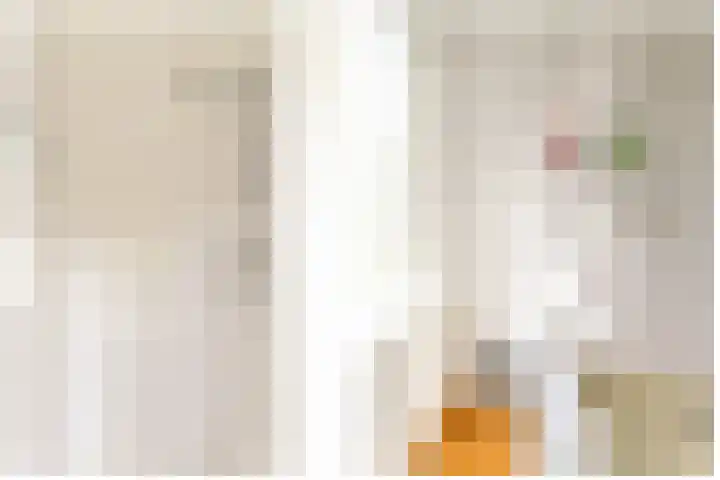 Oranje Nassaulaan 159 Overveen thumbnail 20