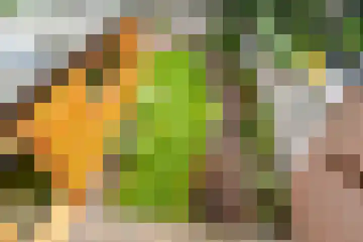 Oranje Nassaulaan 159 Overveen thumbnail 28