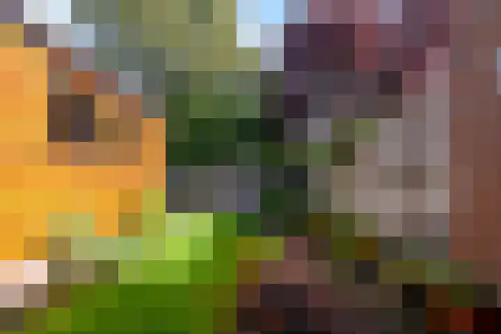 Oranje Nassaulaan 159 Overveen thumbnail 29