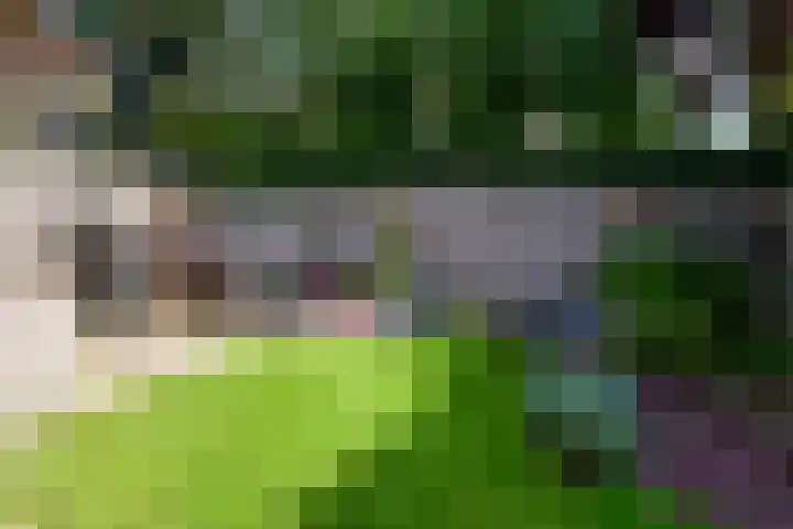 Oranje Nassaulaan 159 Overveen thumbnail 30