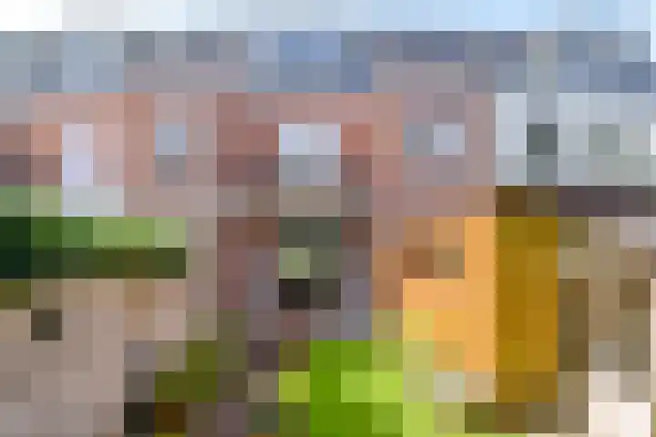 Oranje Nassaulaan 159 Overveen thumbnail 32