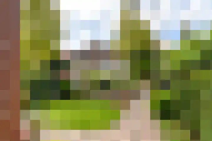 Oranje Nassaulaan 159 Overveen thumbnail 35
