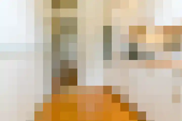 Oranje Nassaulaan 159 Overveen thumbnail 9