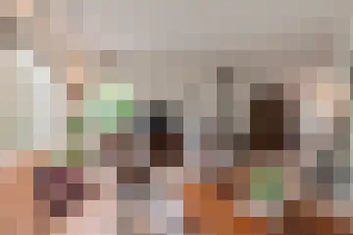 Oranje Nassaulaan 18 Culemborg thumbnail 10