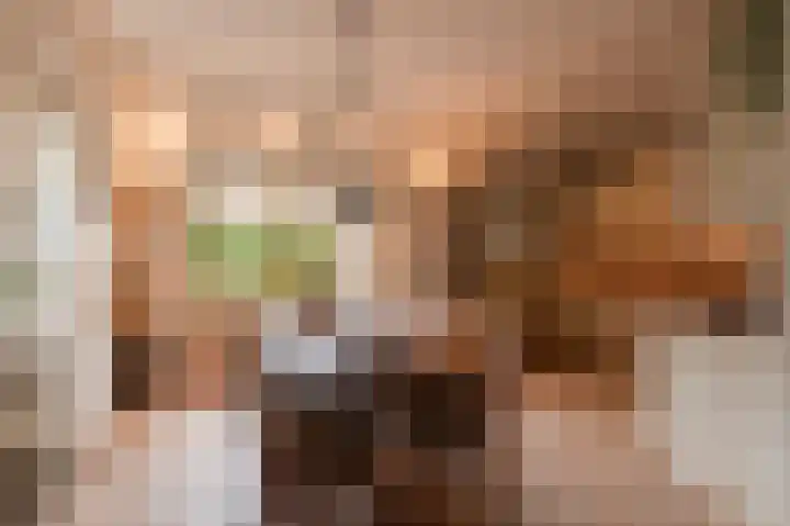 Oranje Nassaulaan 18 Culemborg thumbnail 13