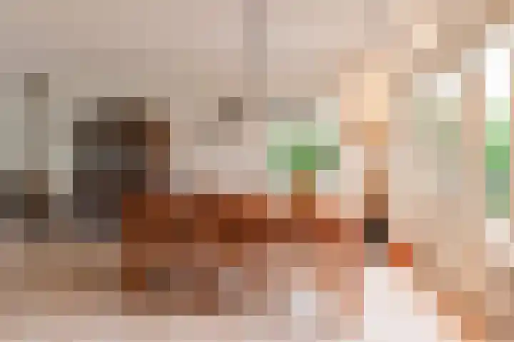 Oranje Nassaulaan 18 Culemborg thumbnail 14