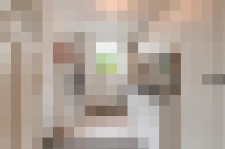 Oranje Nassaulaan 18 Culemborg thumbnail 16