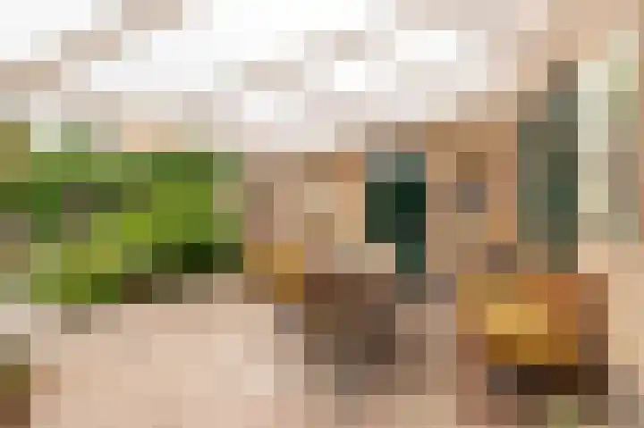 Oranje Nassaulaan 18 Culemborg thumbnail 17