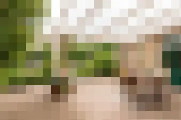 Oranje Nassaulaan 18 Culemborg thumbnail 18
