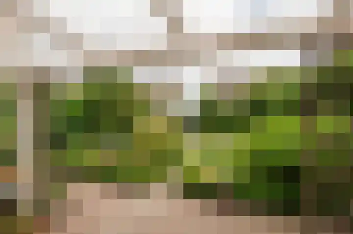 Oranje Nassaulaan 18 Culemborg thumbnail 20