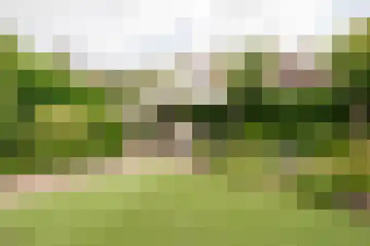 Oranje Nassaulaan 18 Culemborg thumbnail 22