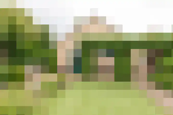 Oranje Nassaulaan 18 Culemborg thumbnail 23