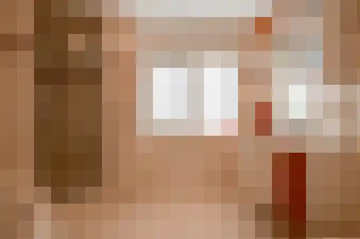Oranje Nassaulaan 18 Culemborg thumbnail 33