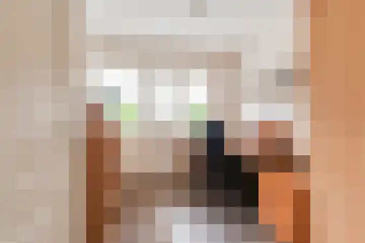 Oranje Nassaulaan 18 Culemborg thumbnail 36
