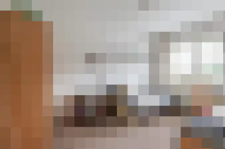 Oranje Nassaulaan 18 Culemborg thumbnail 37