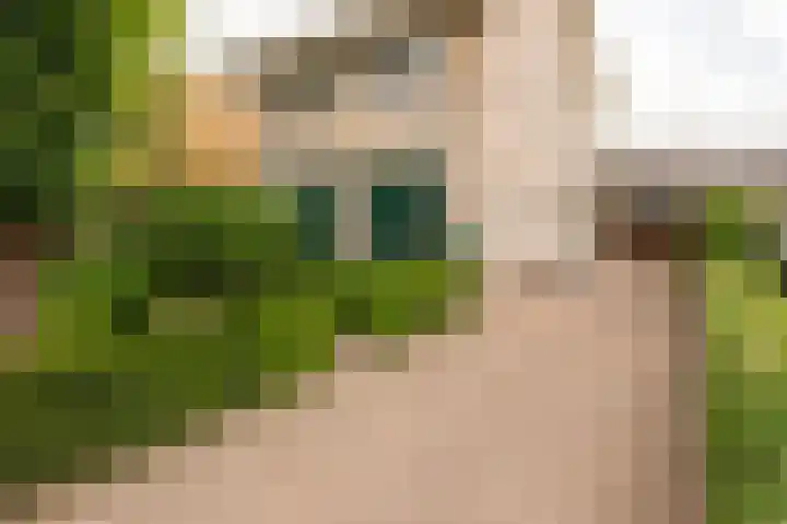 Oranje Nassaulaan 18 Culemborg thumbnail 4