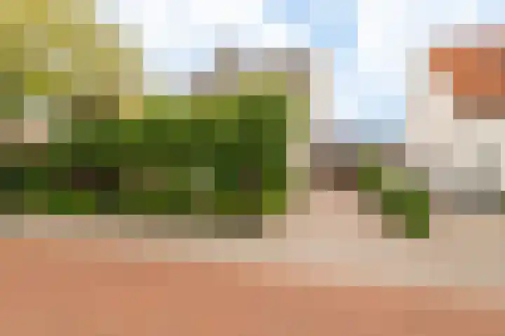 Oranje Nassaulaan 18 Culemborg thumbnail 43