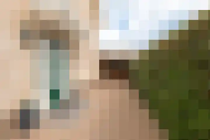 Oranje Nassaulaan 18 Culemborg thumbnail 5