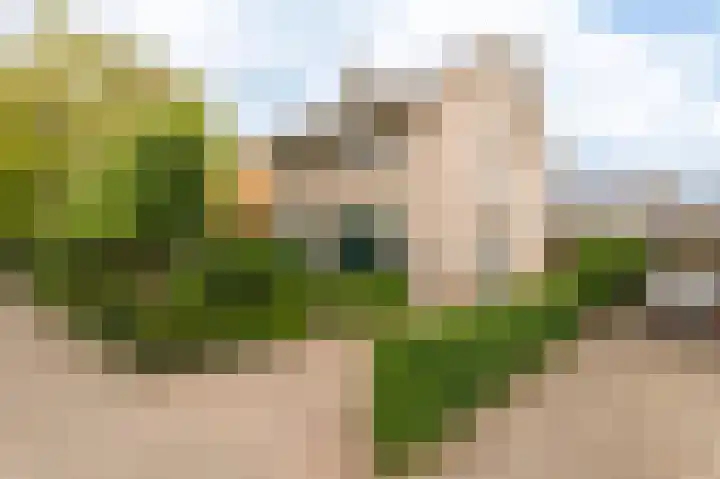 Oranje Nassaulaan 18 Culemborg thumbnail 54