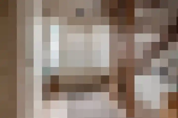 Oranje Nassaulaan 18 Culemborg thumbnail 6