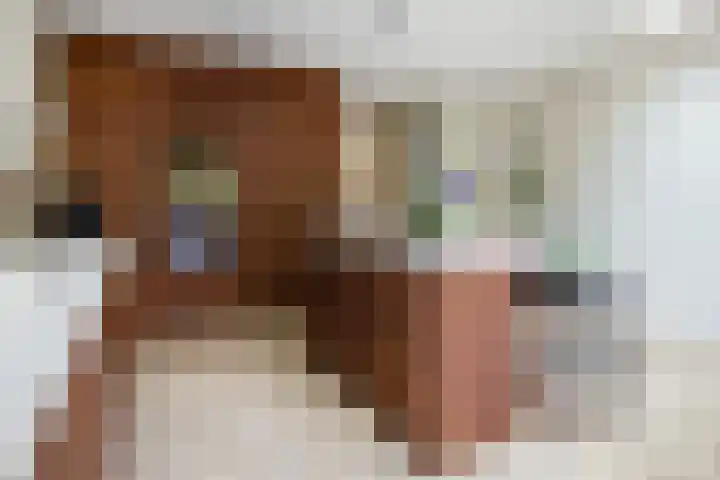Oranje Nassaulaan 19 Overveen thumbnail 14