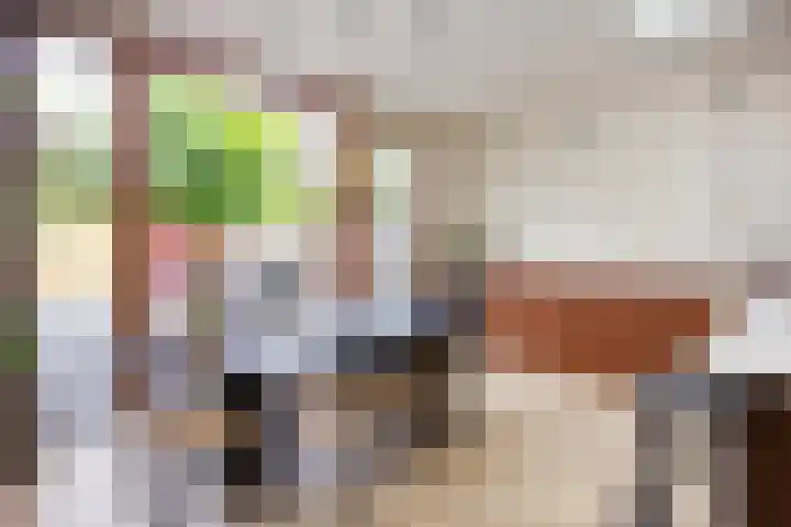 Oranje Nassaulaan 19 Overveen thumbnail 17