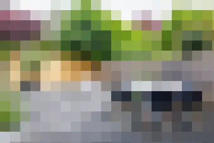 Oranje Nassaulaan 19 Overveen thumbnail 19
