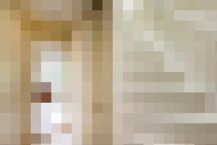 Oranje Nassaulaan 19 Overveen thumbnail 21