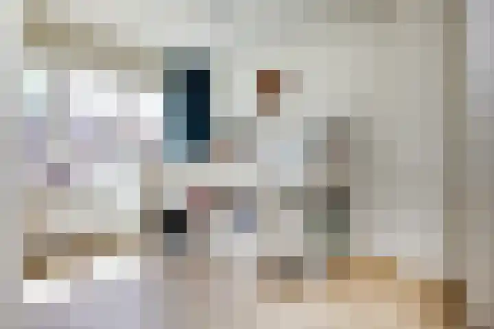 Oranje Nassaulaan 19 Overveen thumbnail 27