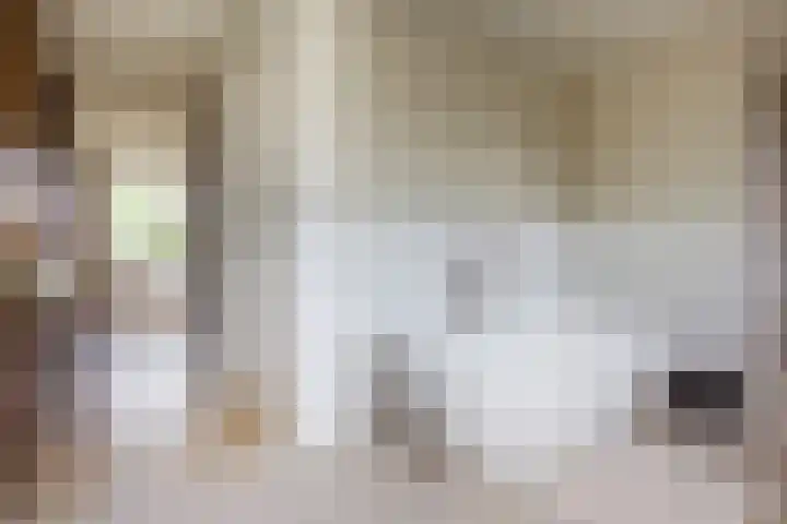 Oranje Nassaulaan 19 Overveen thumbnail 33