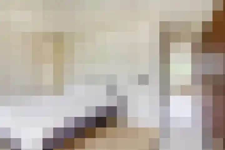 Oranje Nassaulaan 19 Overveen thumbnail 34