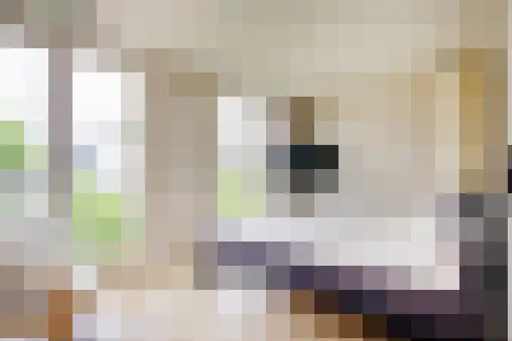 Oranje Nassaulaan 19 Overveen thumbnail 35