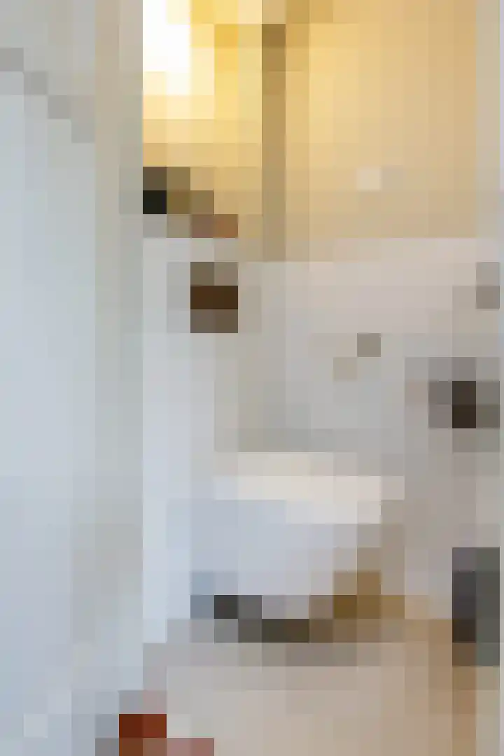 Oranje Nassaulaan 19 Overveen thumbnail 42