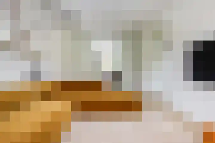Oranje Nassaulaan 19 Overveen thumbnail 7