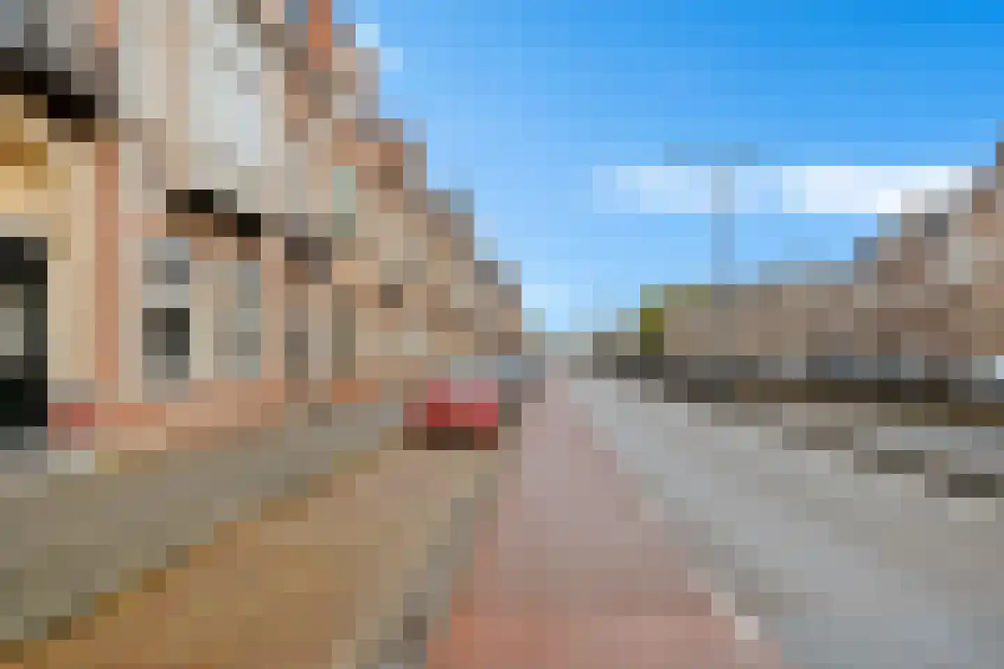 Oranje Nassaulaan 19 's-Hertogenbosch thumbnail 30