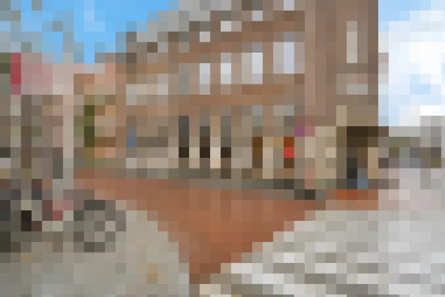 Oranje Nassaulaan 19 's-Hertogenbosch thumbnail 35