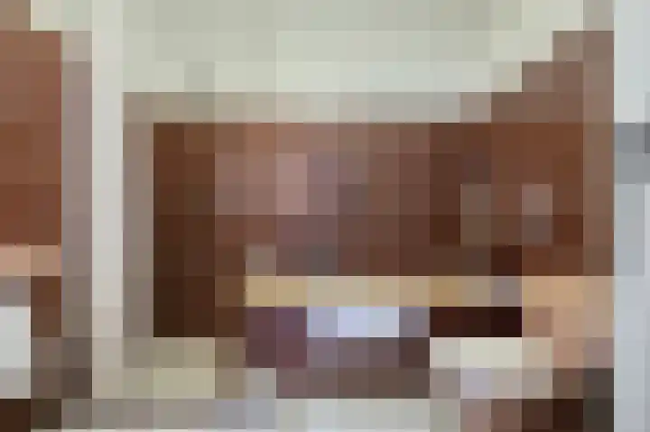 Oranje-Nassaulaan 19 Sint-Oedenrode thumbnail 21