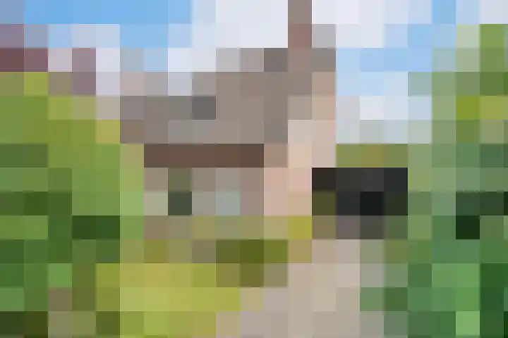Oranje-Nassaulaan 19 Sint-Oedenrode thumbnail 32