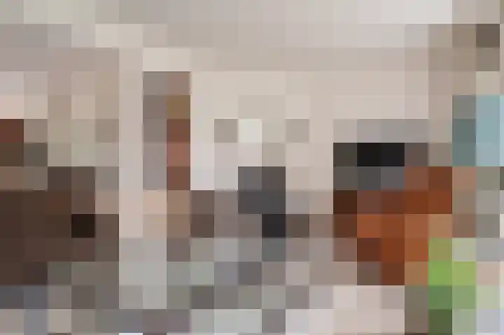 Oranje-Nassaulaan 19 Sint-Oedenrode thumbnail 5