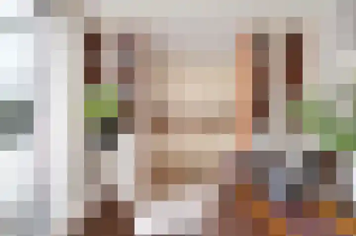 Oranje-Nassaulaan 19 Sint-Oedenrode thumbnail 8