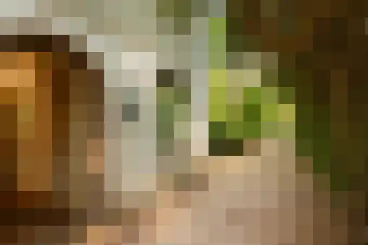 Oranje Nassaulaan 2 Blaricum thumbnail 10