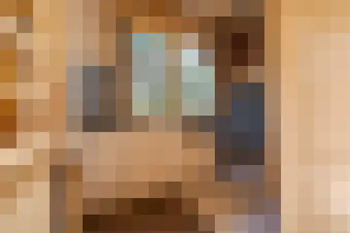 Oranje Nassaulaan 2 Blaricum thumbnail 12