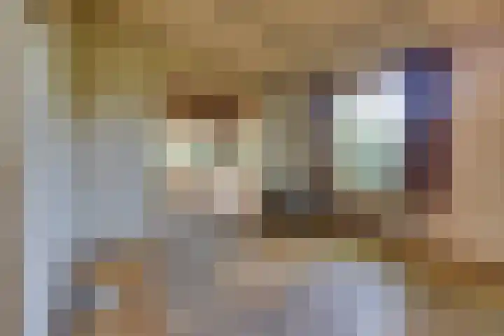 Oranje Nassaulaan 2 Blaricum thumbnail 13