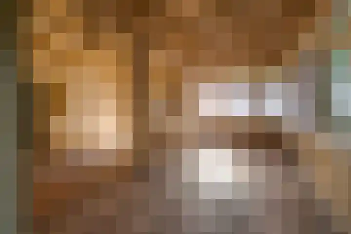 Oranje Nassaulaan 2 Blaricum thumbnail 19