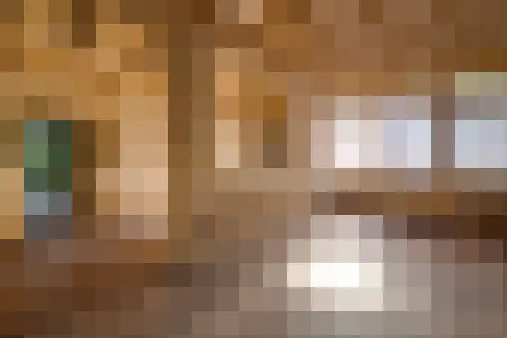 Oranje Nassaulaan 2 Blaricum thumbnail 20